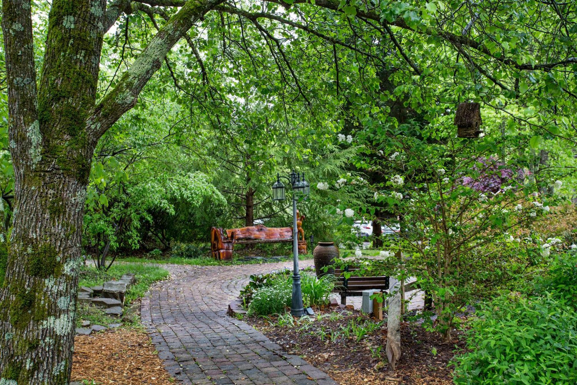 Forrest Hills Mountain Resort Dahlonega Ngoại thất bức ảnh