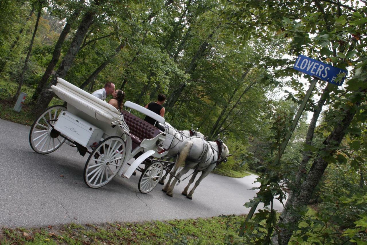 Forrest Hills Mountain Resort Dahlonega Ngoại thất bức ảnh